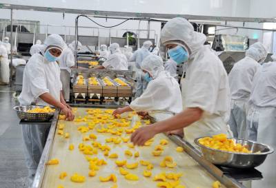 黄桃深加工助农增收
