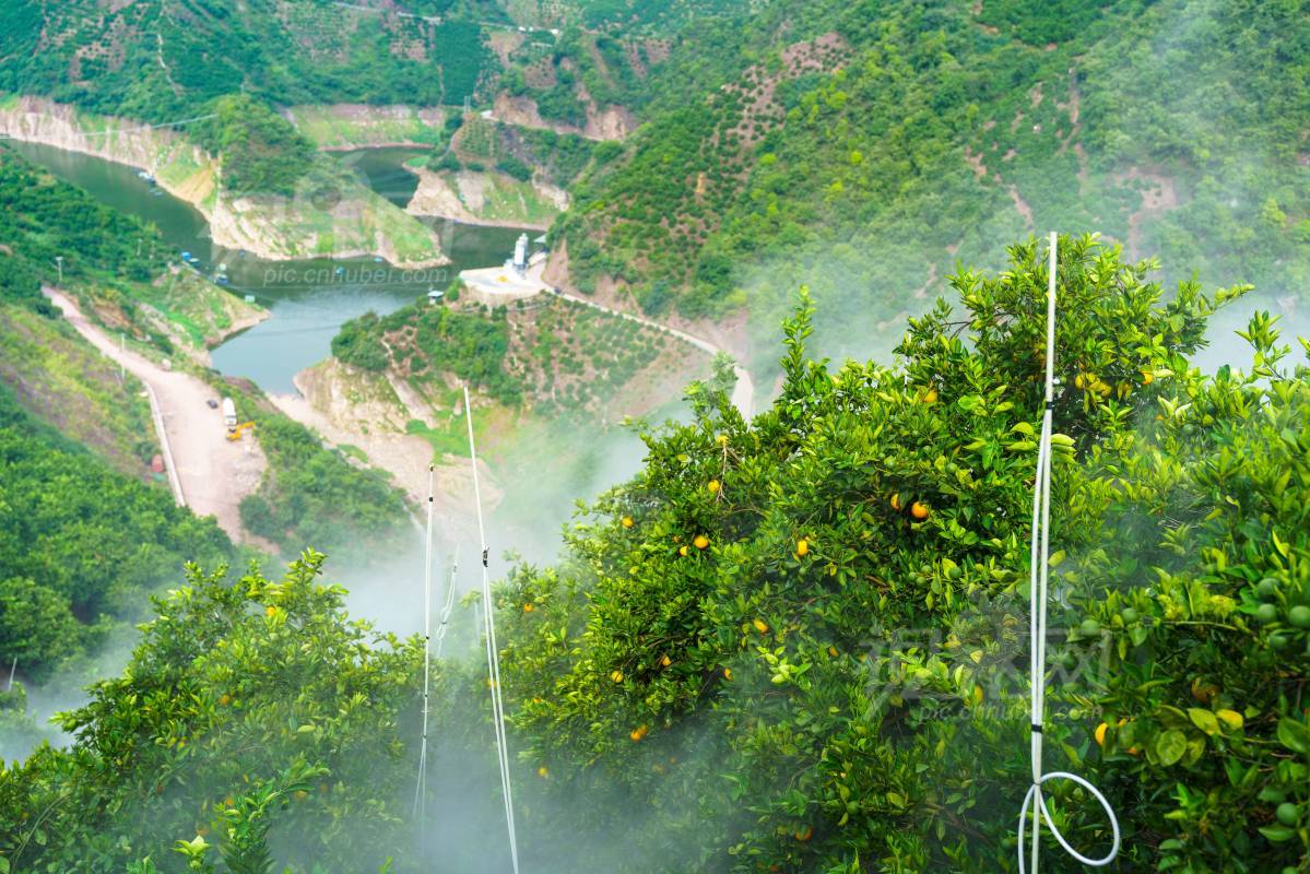 1000945