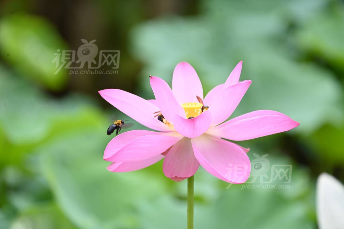 1001922