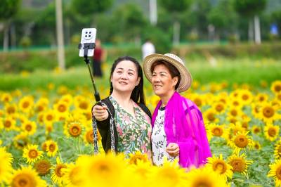  武穴：花海引客来