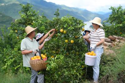 湖北巴东：禁渔护生态 转产谋新生