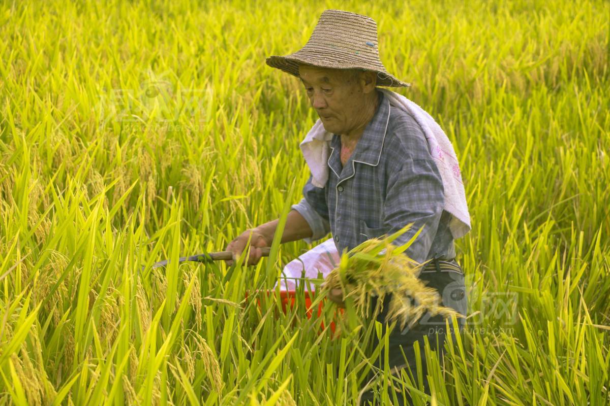 1003445