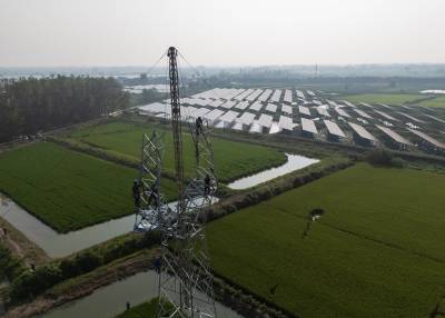 洪湖：战高温建电网