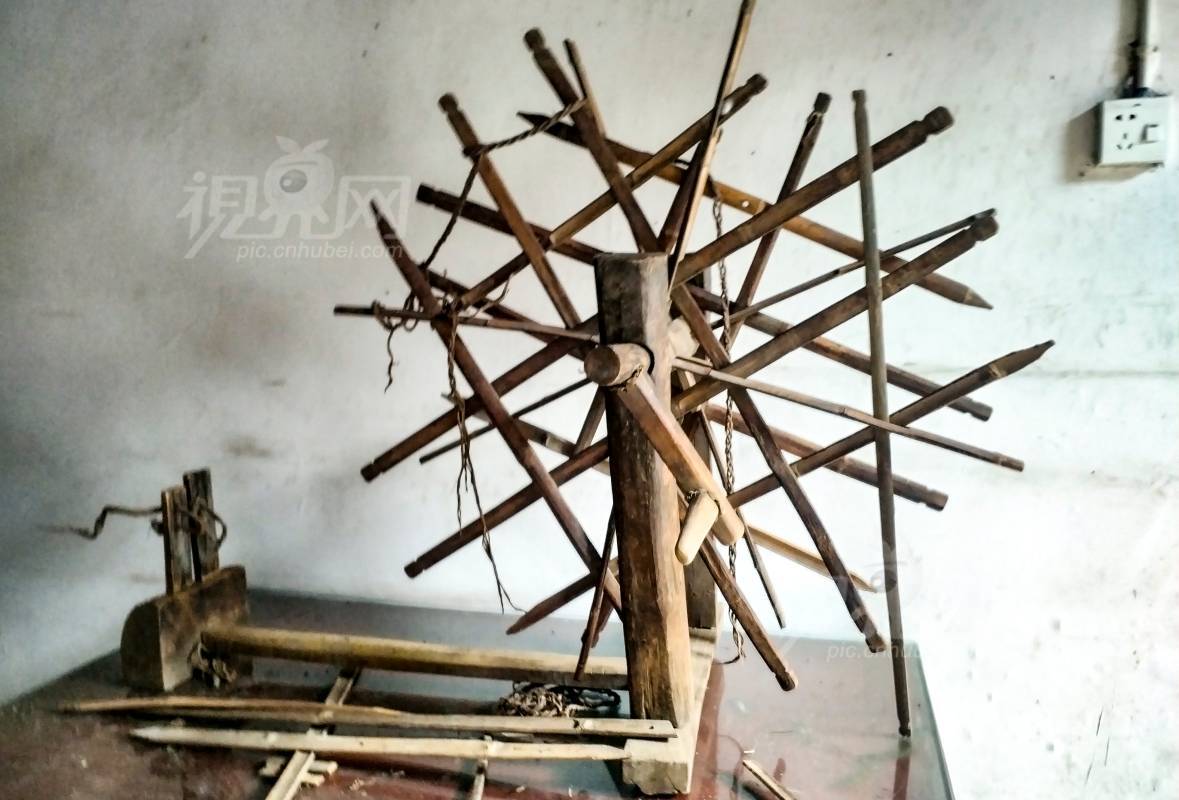 1003559