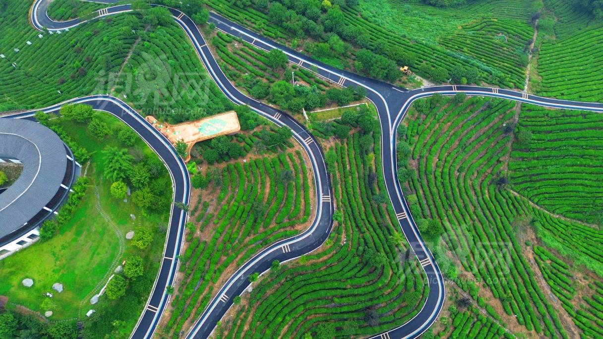 1003636