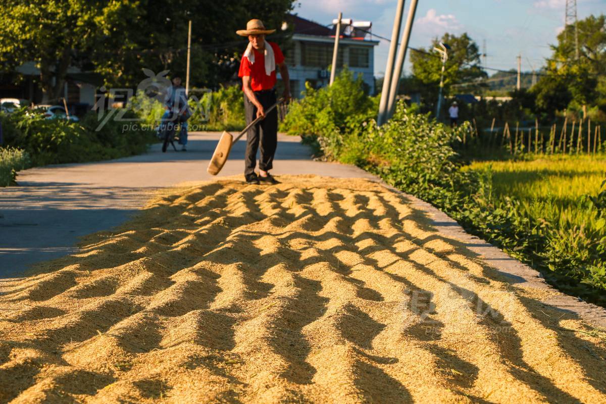 1004078