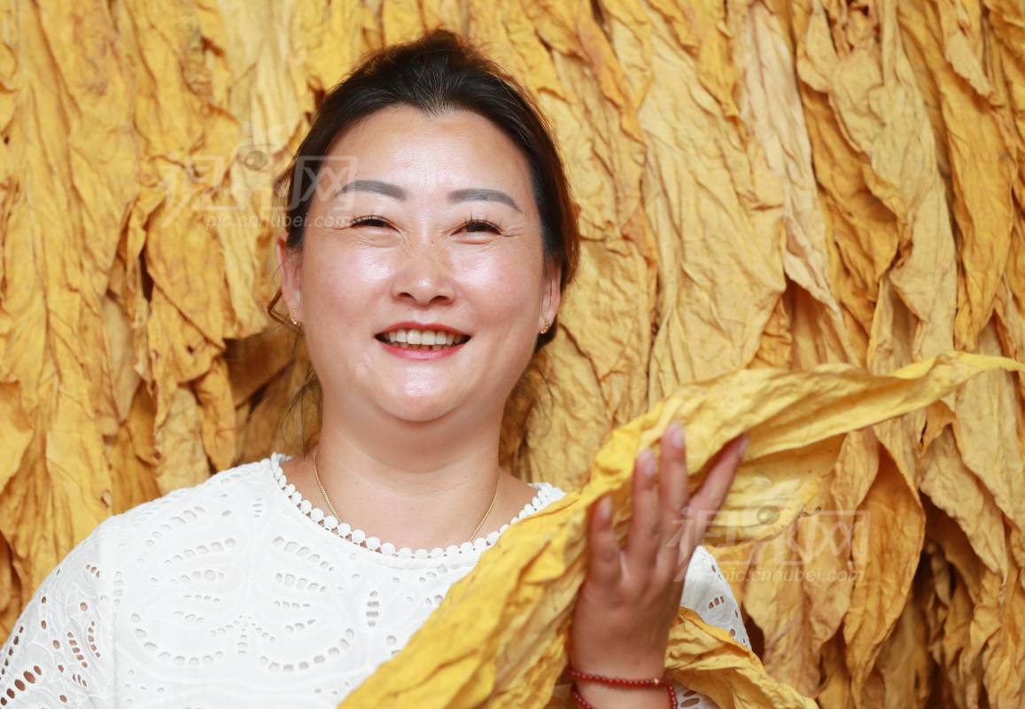 1004323