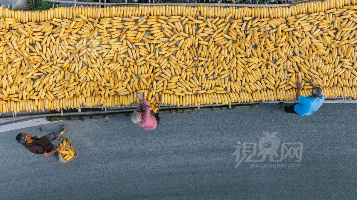 1004671