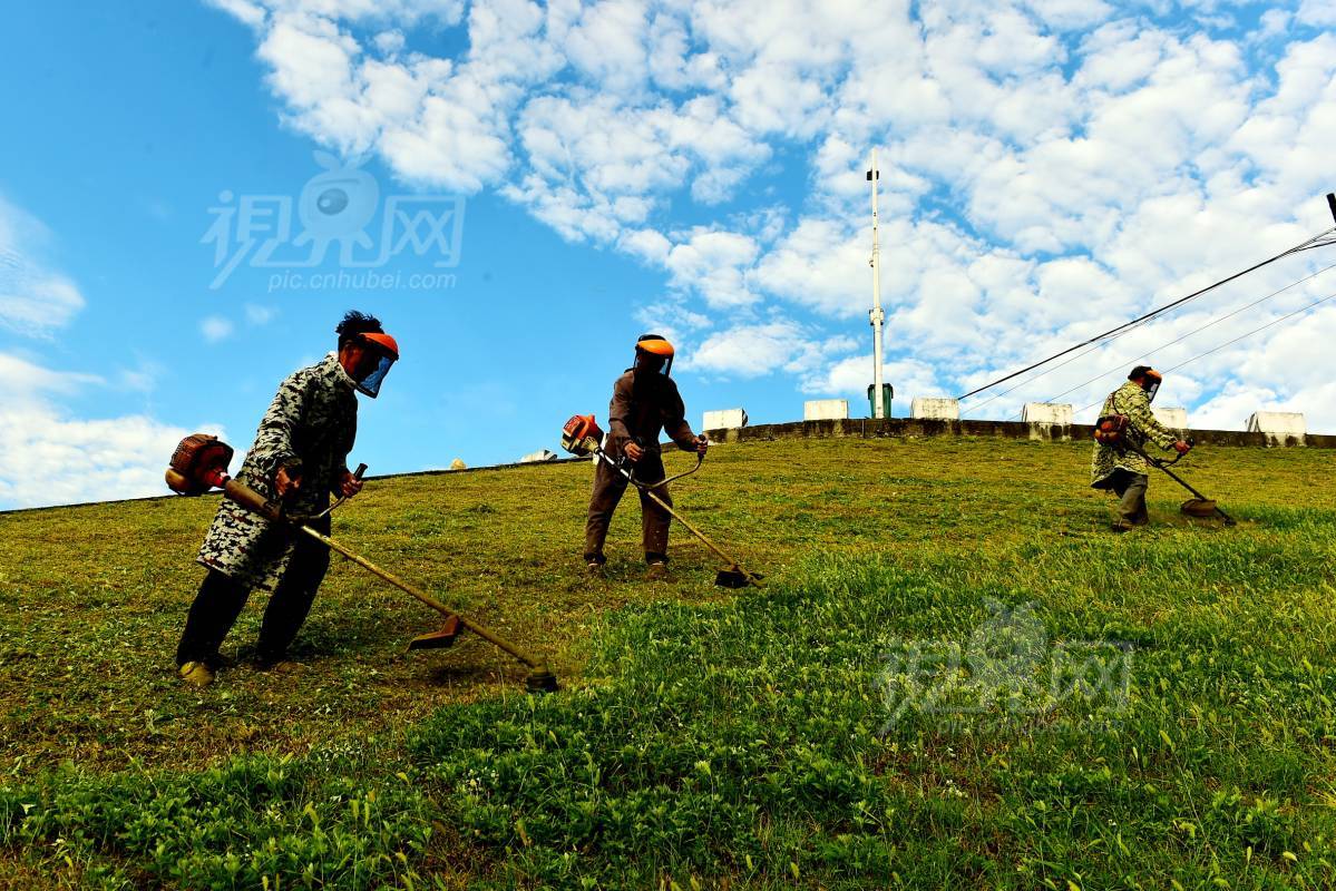 1004982