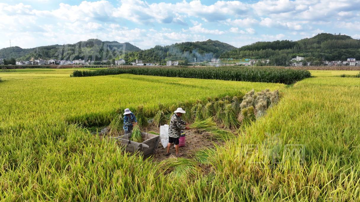1005105