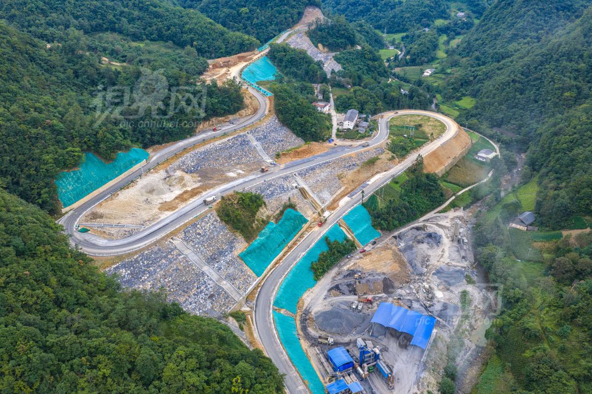 1005264