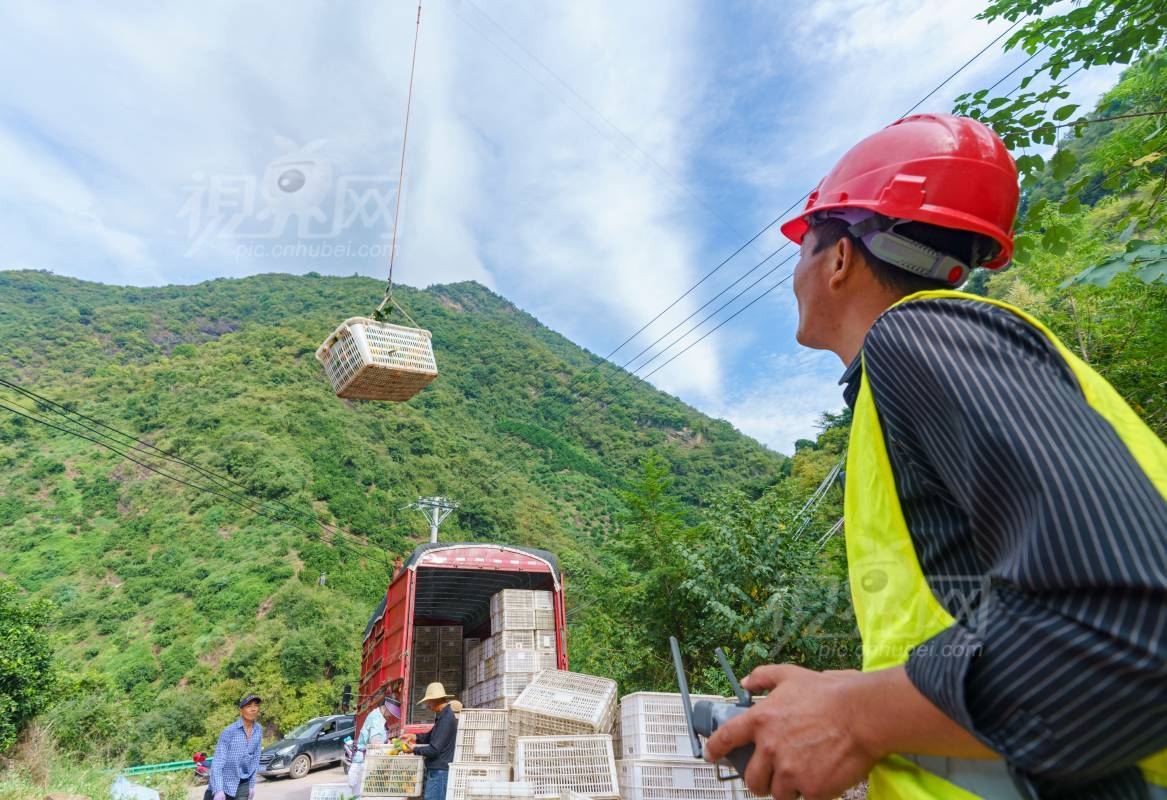 1005526