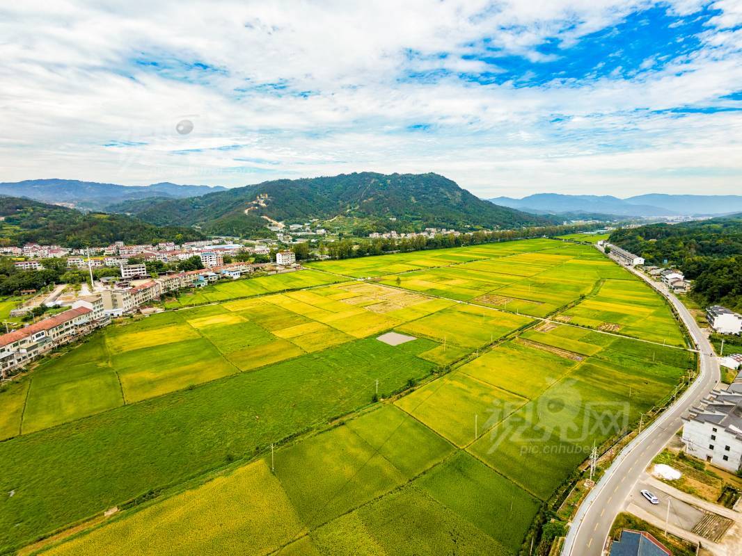 1005640