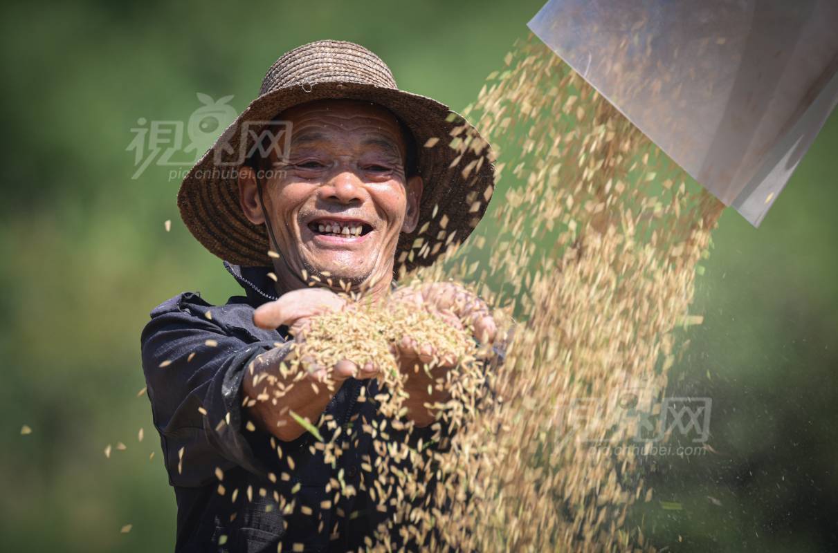 1005694