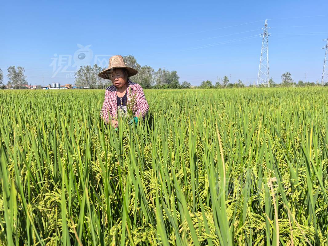 1006665