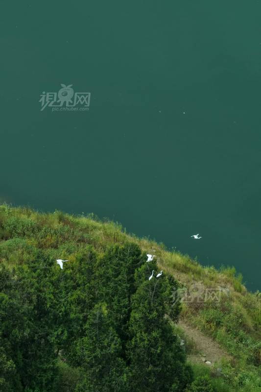 1006689