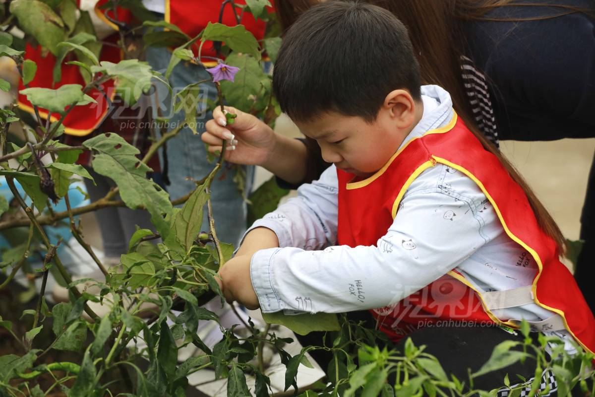 1006761