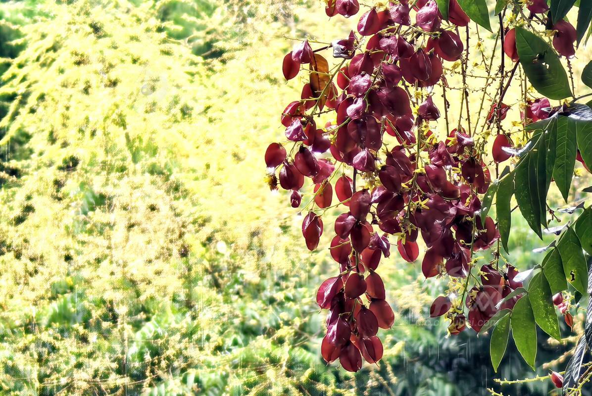 1007082