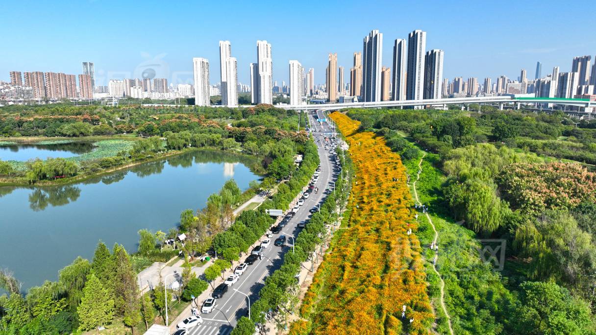 1009705