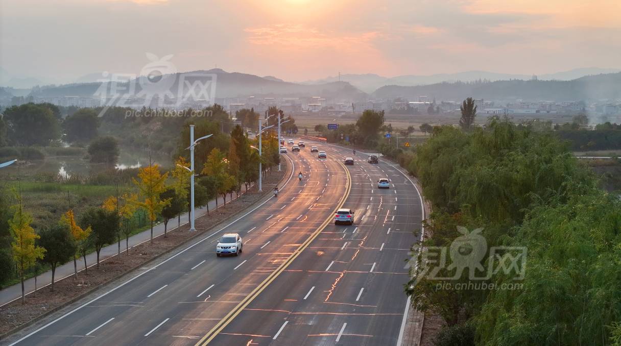 1010203
