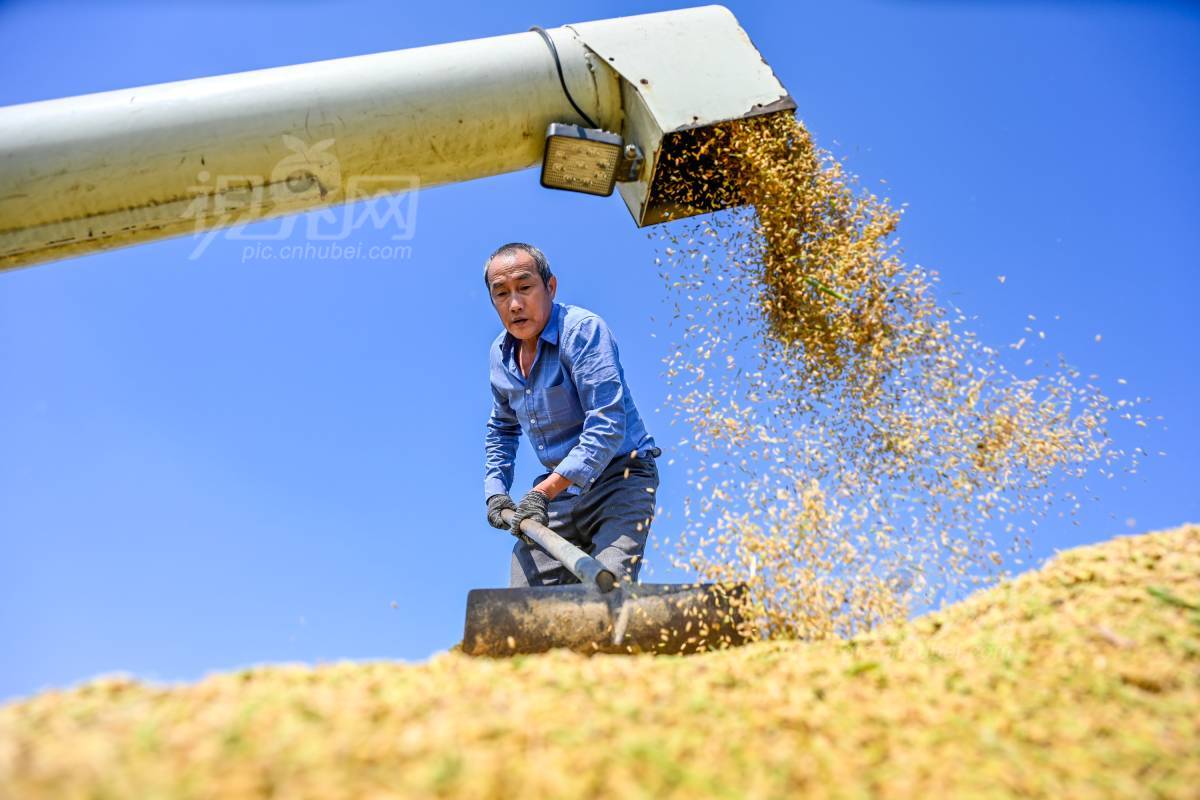 1010367