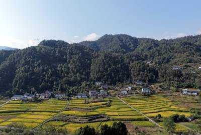 乡村秋景如画