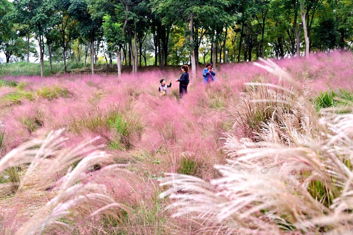 1012523