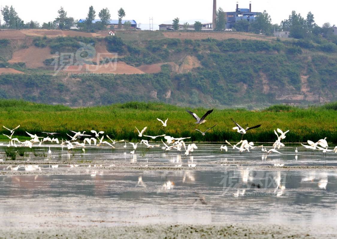 108253