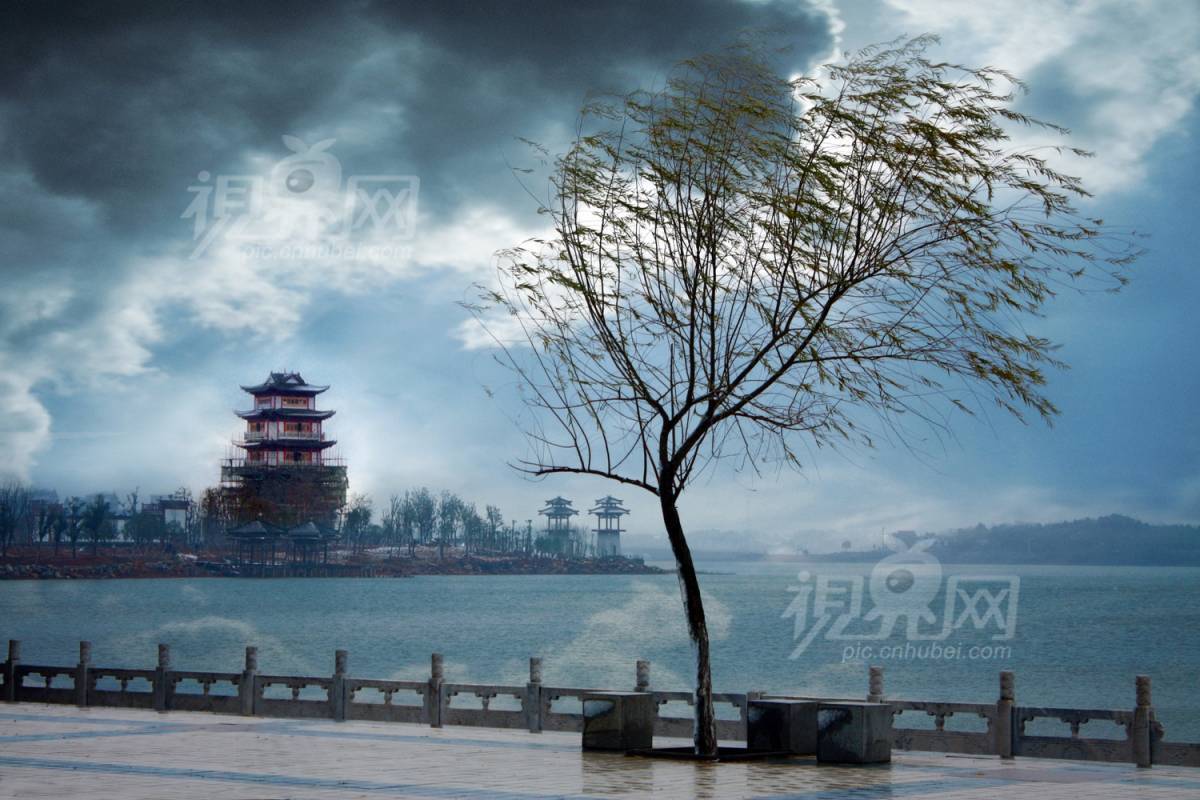 115816