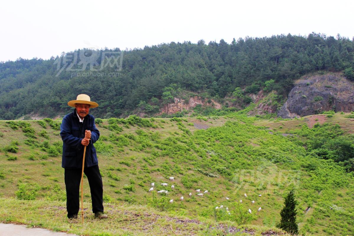 117018