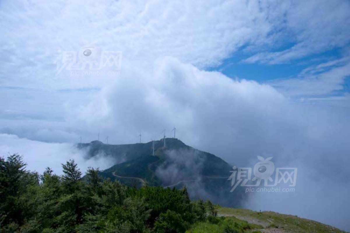 119386