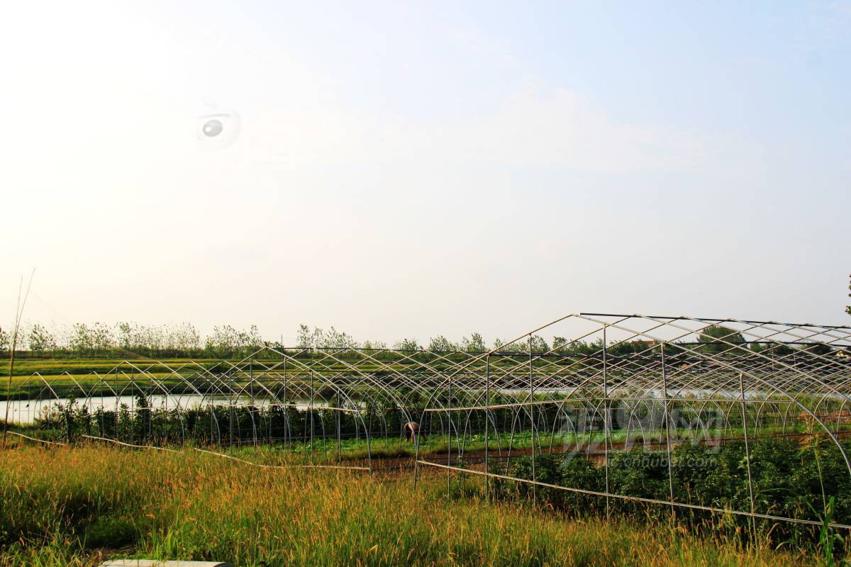 127837