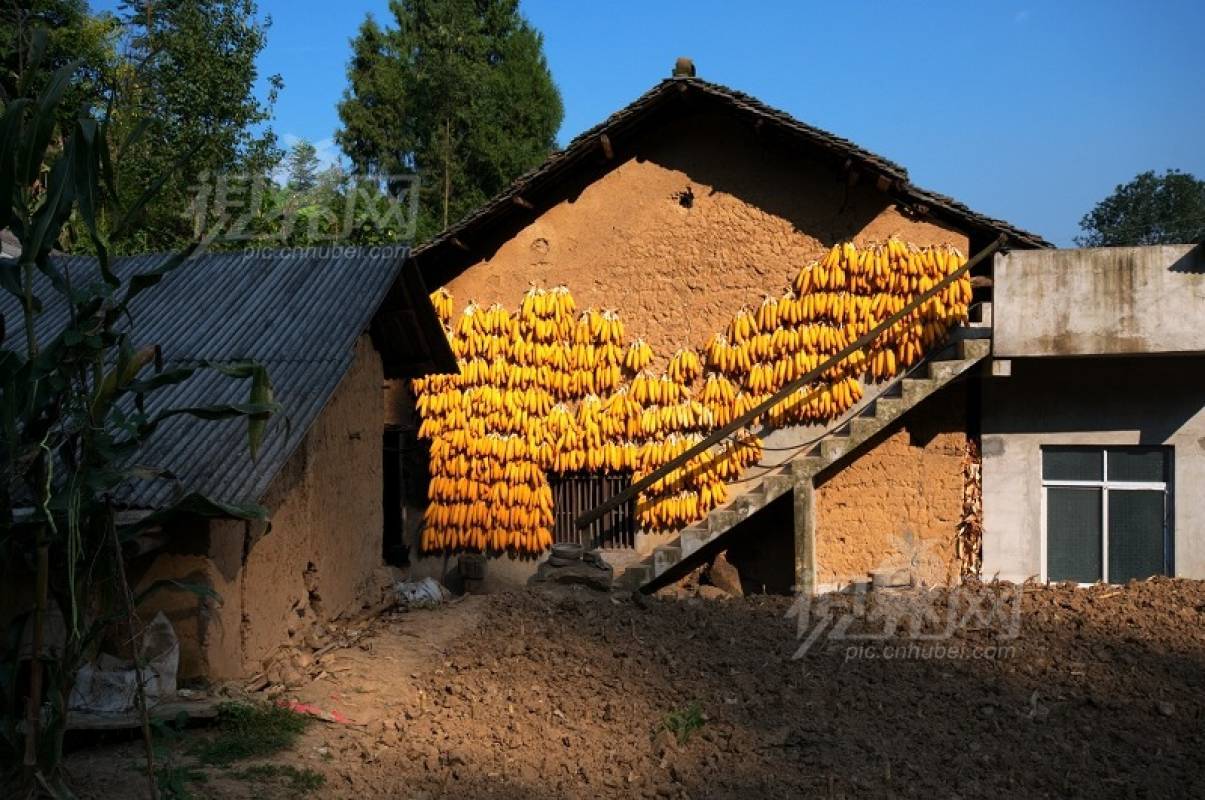 127981