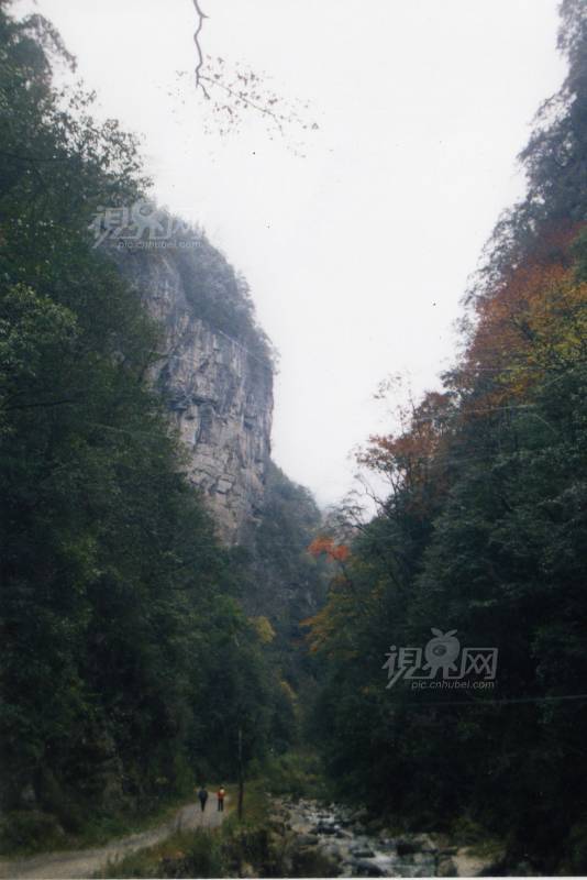 132004