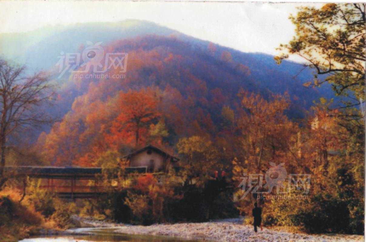 132005