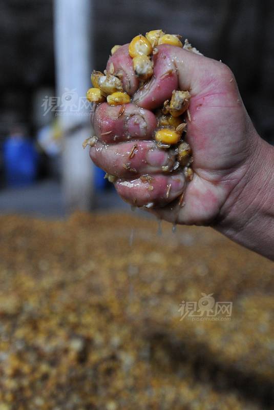 138793