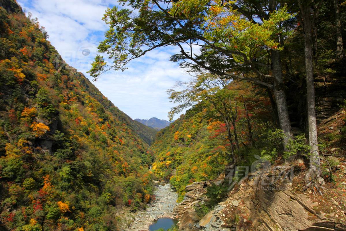 139647