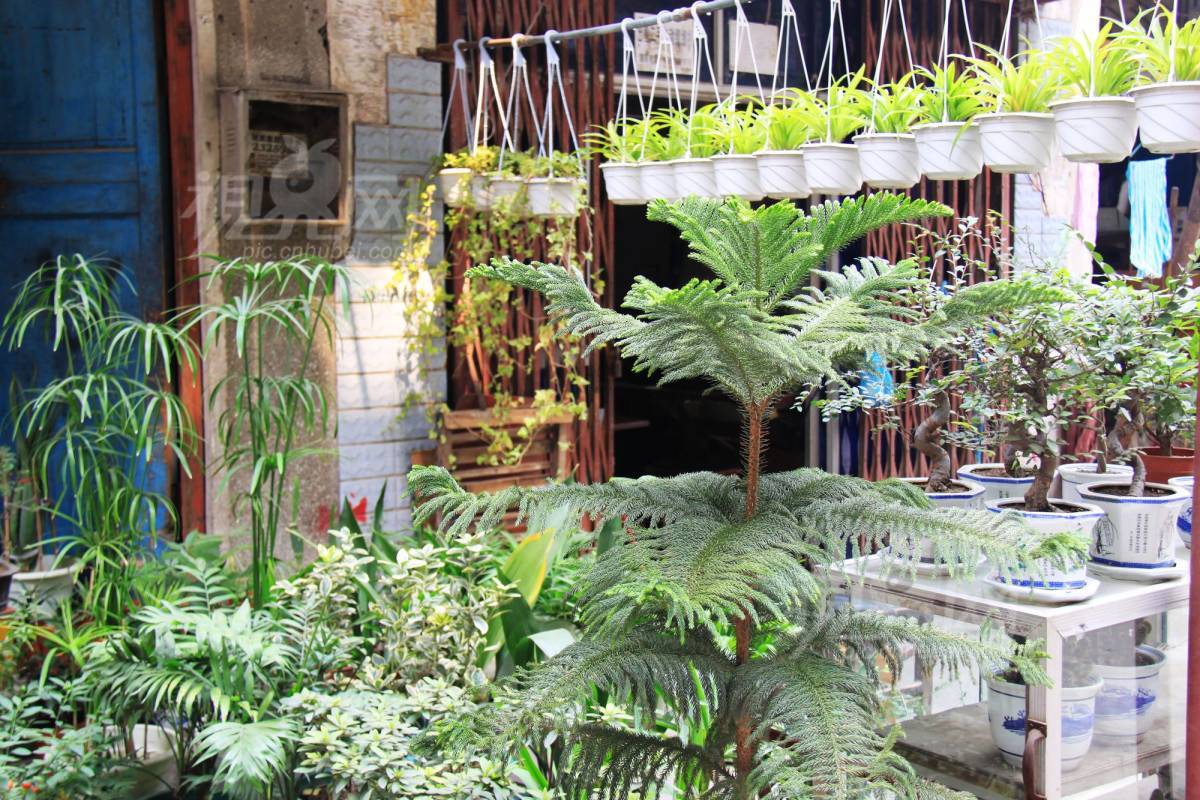 141408