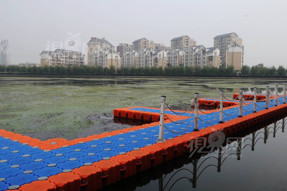 143427