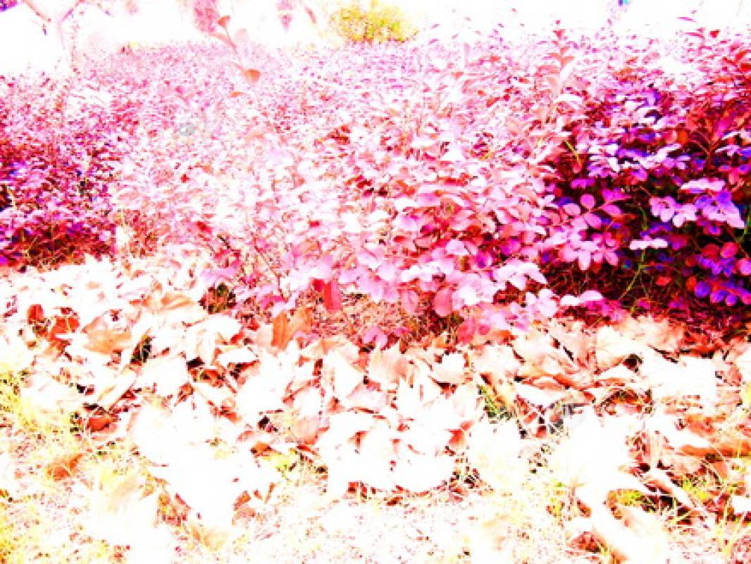 143581