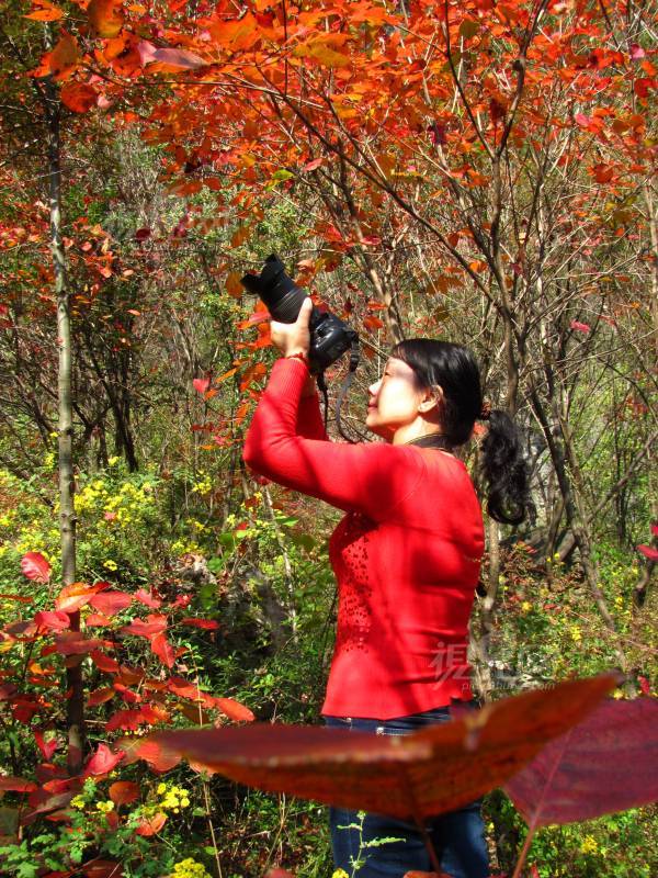 143849
