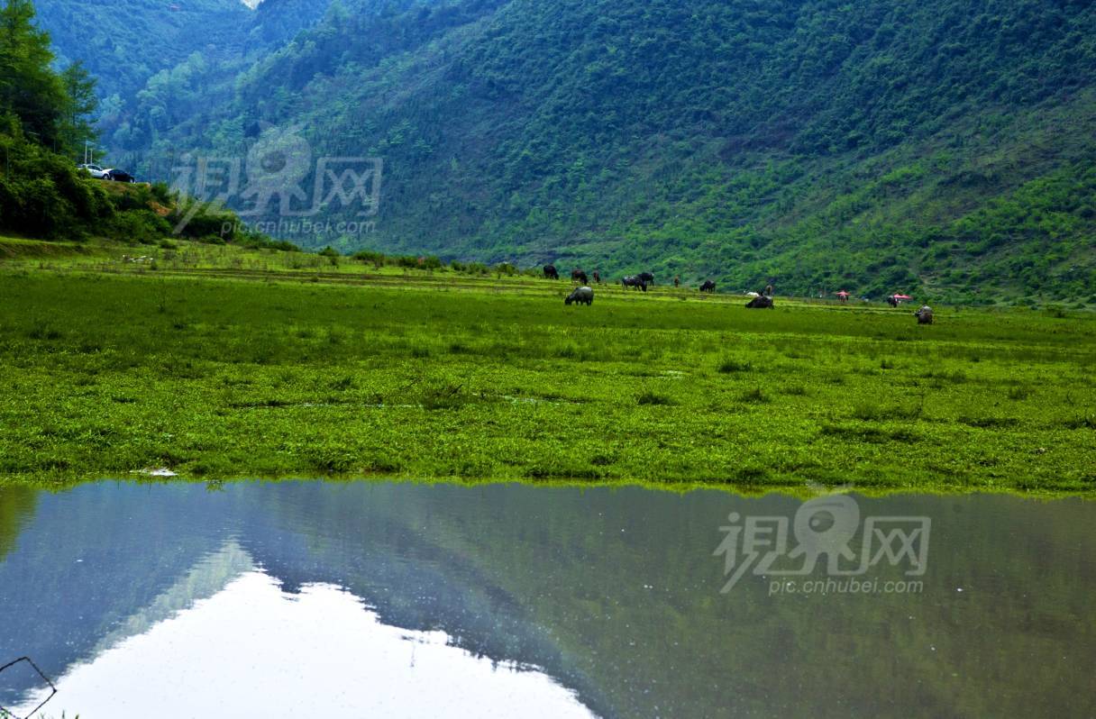 145058
