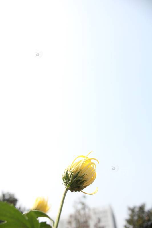 145398