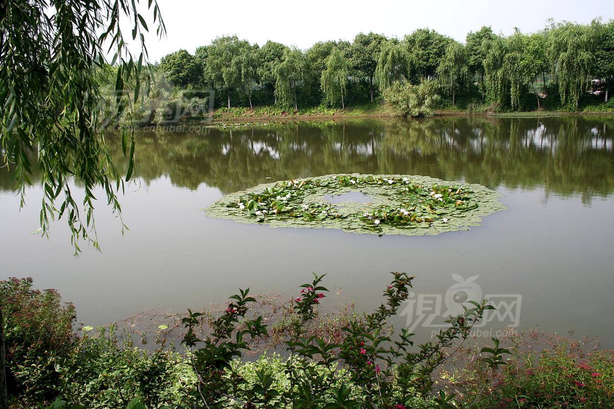 146302