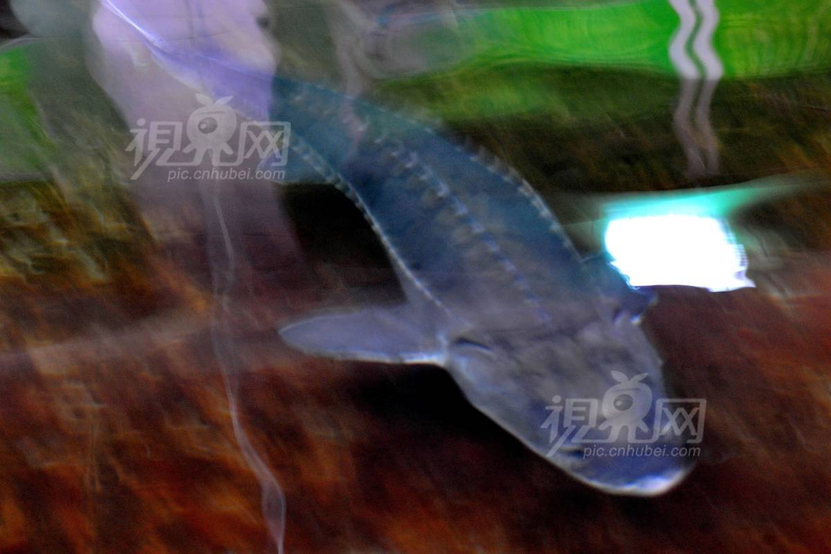 146380