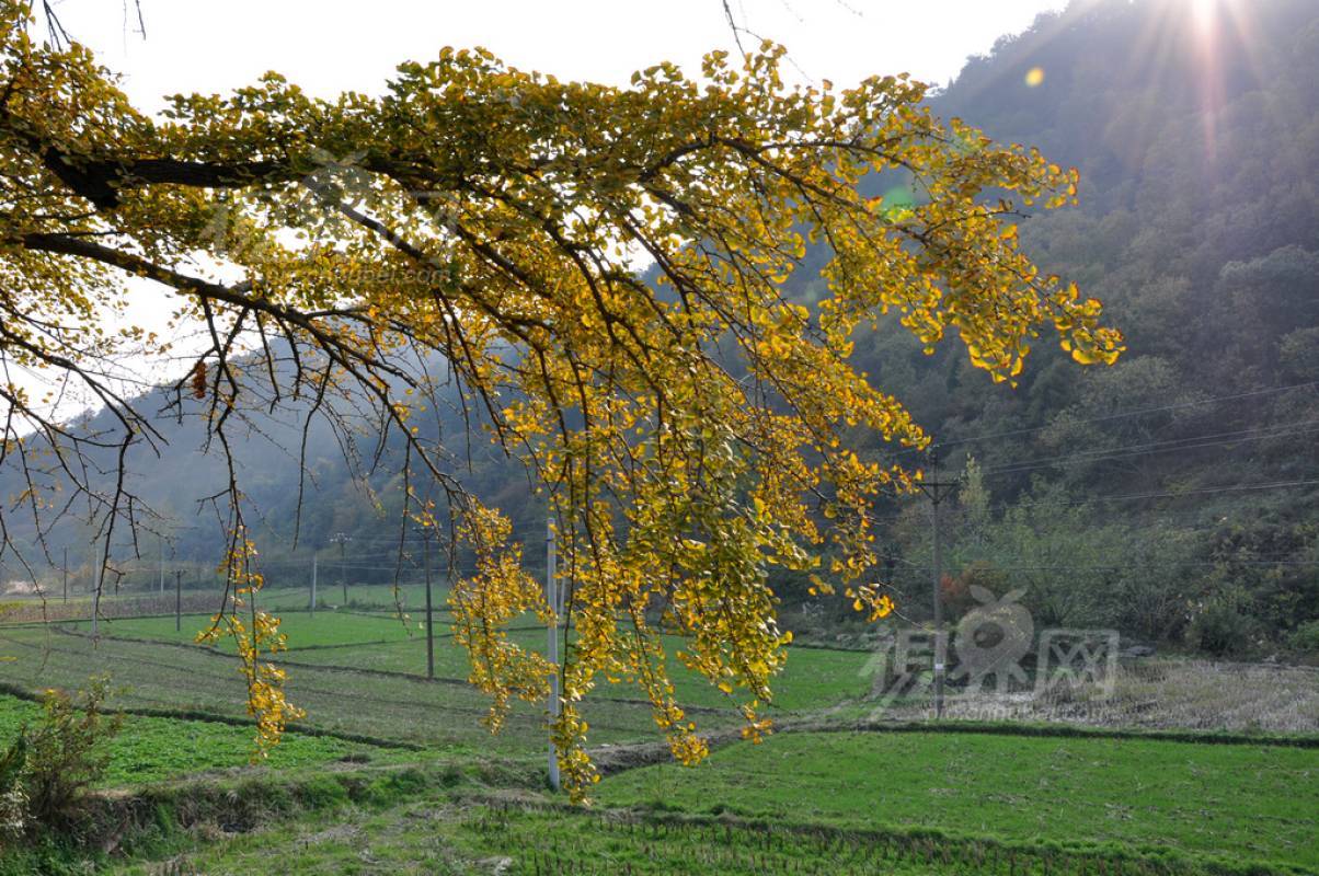149072