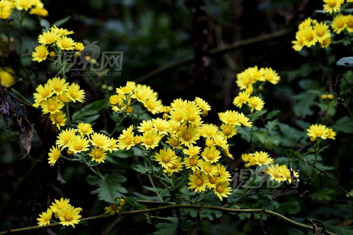 149531