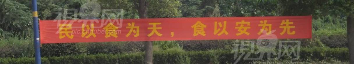 153135