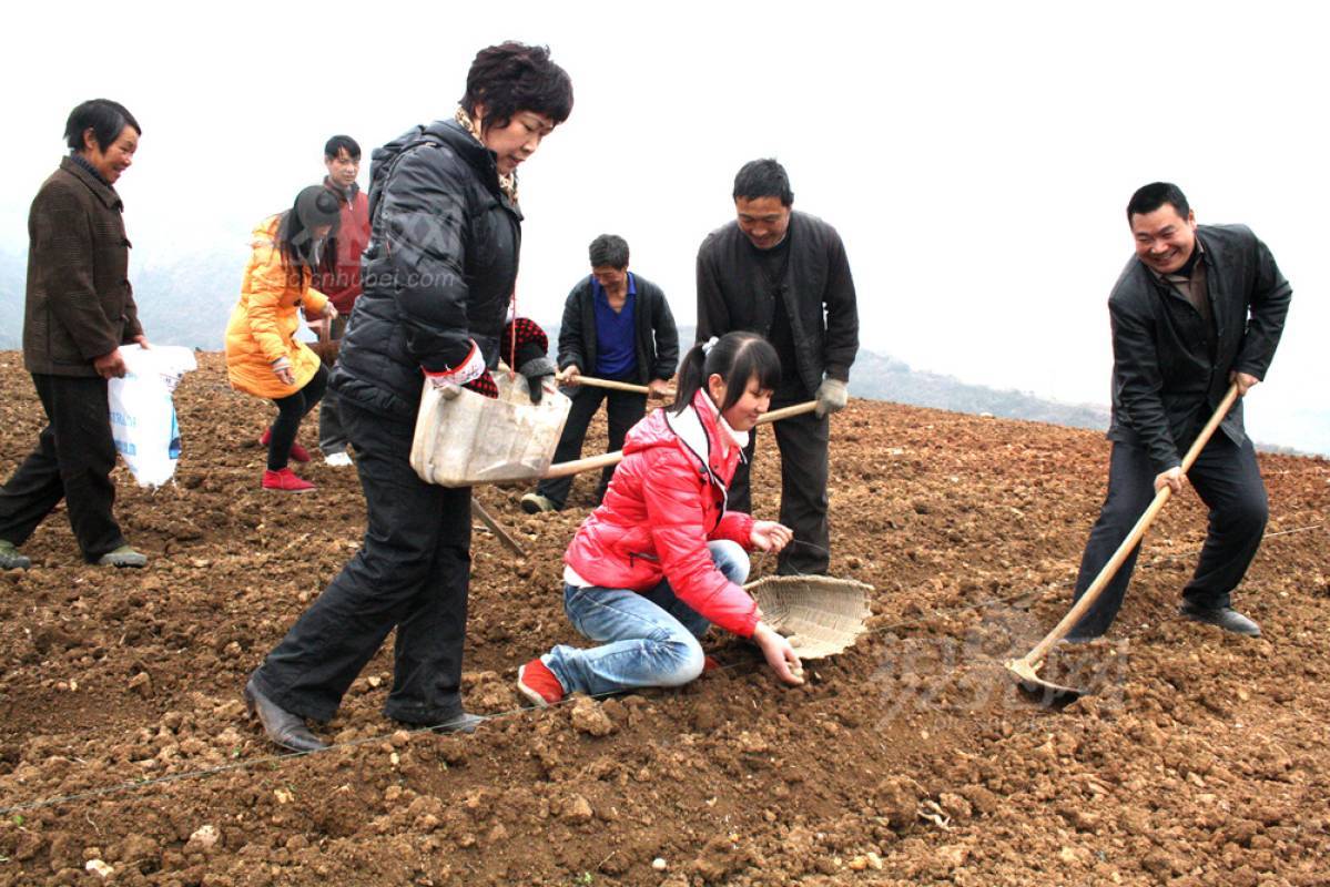 167658