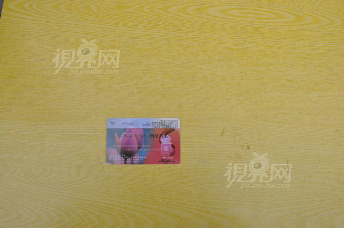 175956